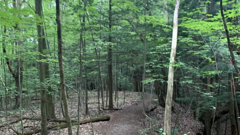 Rob's Trail Preserve - Hemlock Lake - Springwater, NY