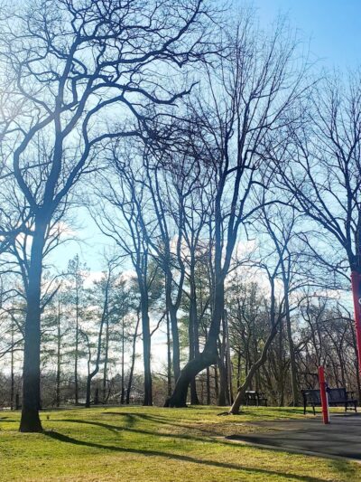 Lindbergh Pavillion - St Ann, MO