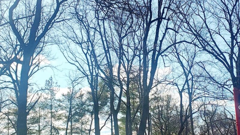 Lindbergh Pavillion - St Ann, MO