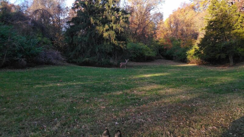Lindbergh Pavillion - St Ann, MO