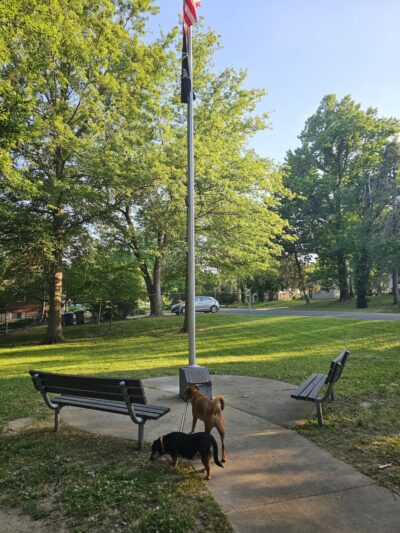 Mary Ridge Park - St Ann, MO