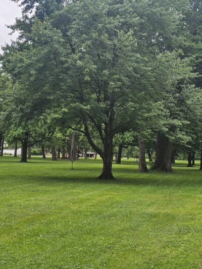 St. Ann Park - St Ann, MO