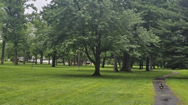 St. Ann Park - St Ann, MO