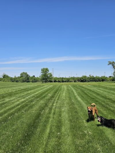 St. Ann Park - St Ann, MO
