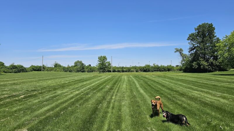 St. Ann Park - St Ann, MO
