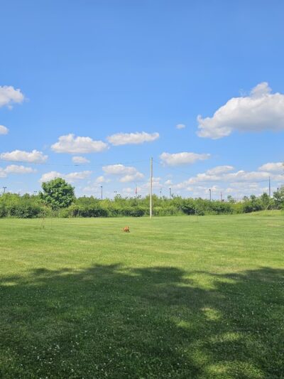 St. Ann Park - St Ann, MO