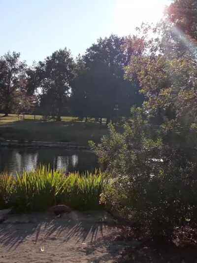 Tiemeyer Park - St Ann, MO