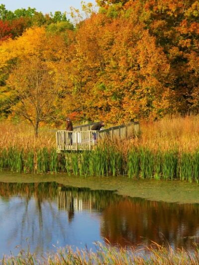River Bend Community Park - St. Charles, IL