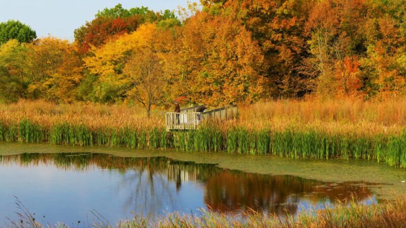 River Bend Community Park - St. Charles, IL