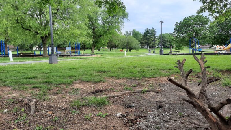 Orchard Park - St Clair, MO