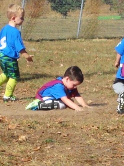 Orchard Park - St Clair, MO