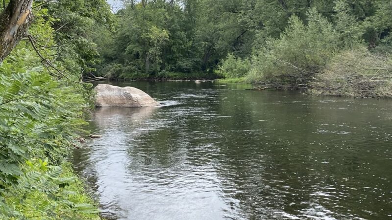 Sauk River Regional Park - St Cloud, MN