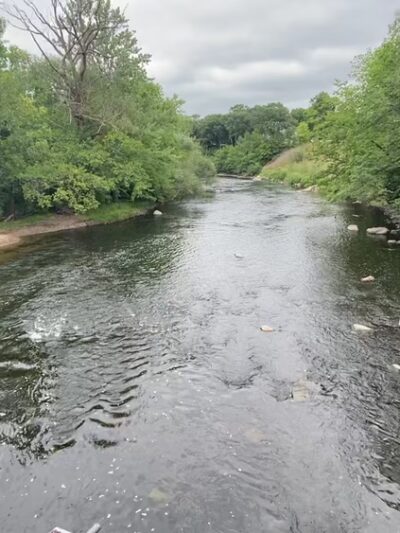 Sauk River Regional Park - St Cloud, MN