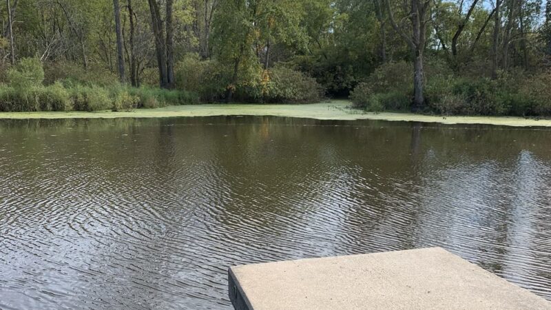 Riverside Park - St Cloud, WI