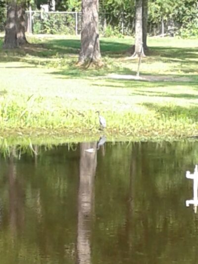 St. George Park - St George, SC