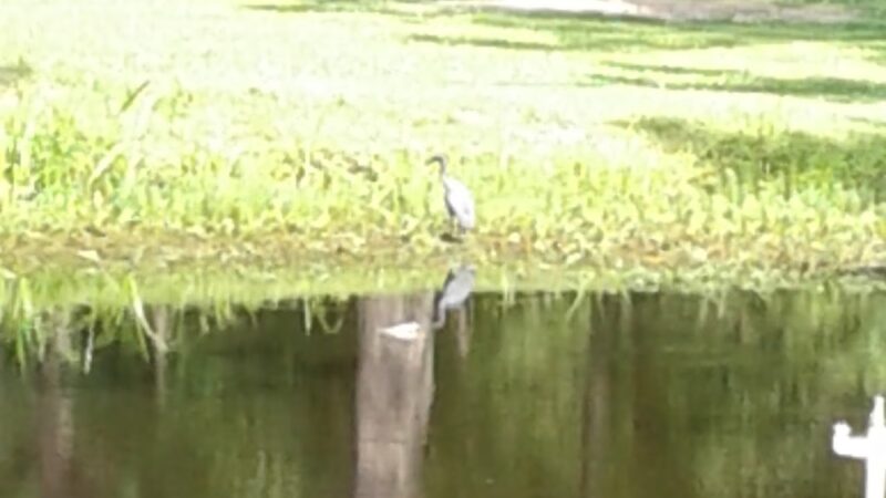 St. George Park - St George, SC
