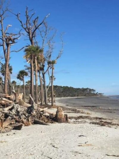 Hunting Island State Park - St Helena Island, SC