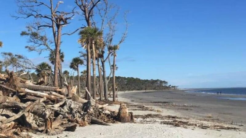 Hunting Island State Park - St Helena Island, SC