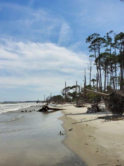 Hunting Island State Park - St Helena Island, SC
