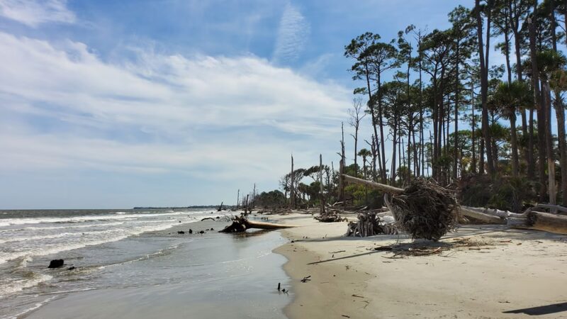 Hunting Island State Park - St Helena Island, SC