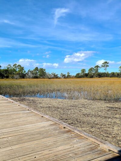 Marsh Boardwalk Trail - St Helena Island, SC
