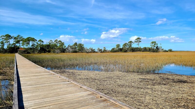 Marsh Boardwalk Trail - St Helena Island, SC