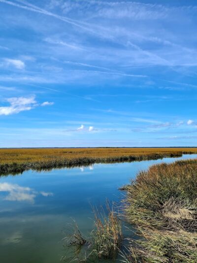 Marsh Boardwalk Trail - St Helena Island, SC