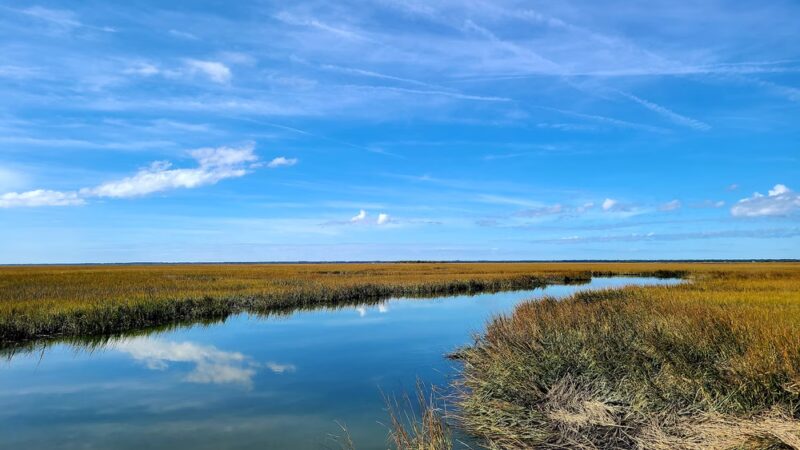 Marsh Boardwalk Trail - St Helena Island, SC