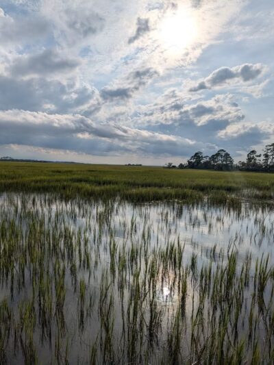 Marsh Boardwalk Trail - St Helena Island, SC