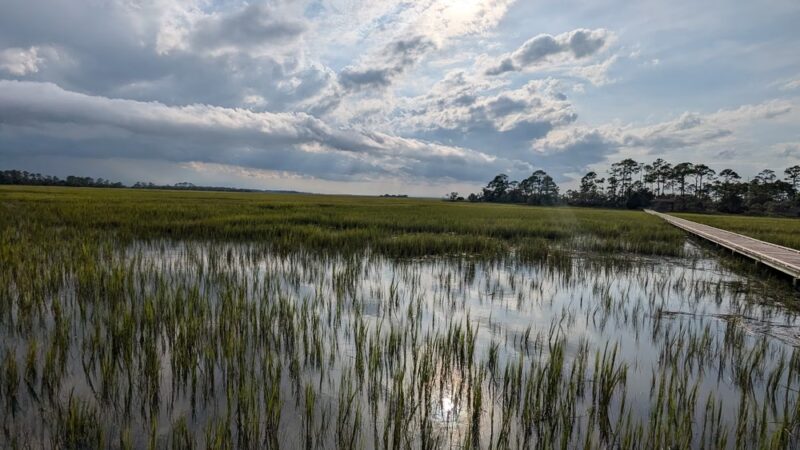 Marsh Boardwalk Trail - St Helena Island, SC
