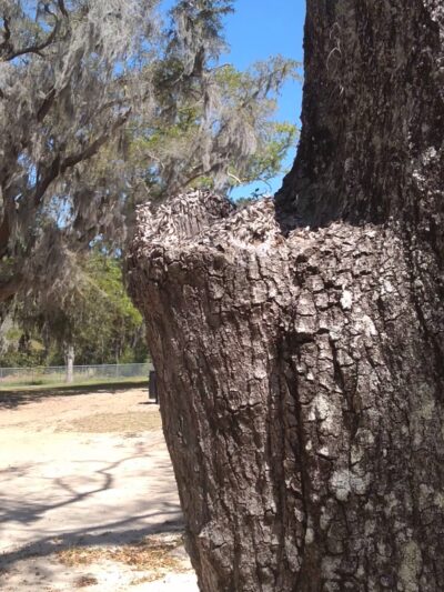 St Helena Park - St Helena Island, SC