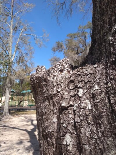 St Helena Park - St Helena Island, SC