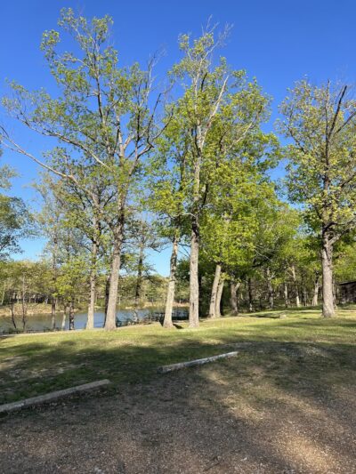 St. James Park - St James, MO