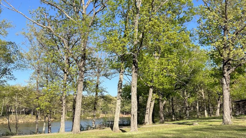 St. James Park - St James, MO