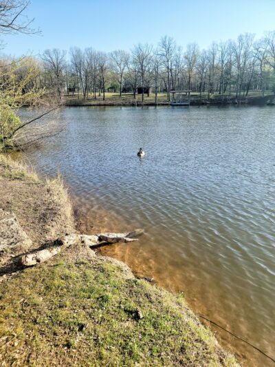 St. James Park - St James, MO