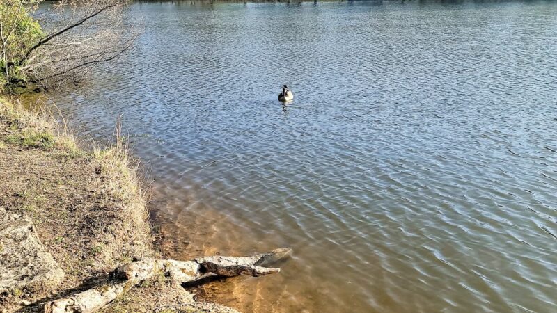 St. James Park - St James, MO