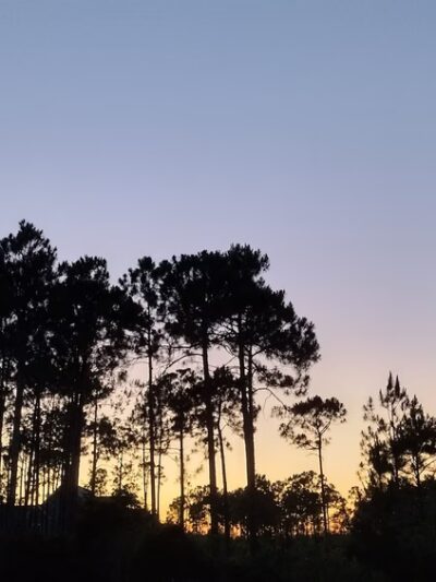 Woodlands Park - St James, NC
