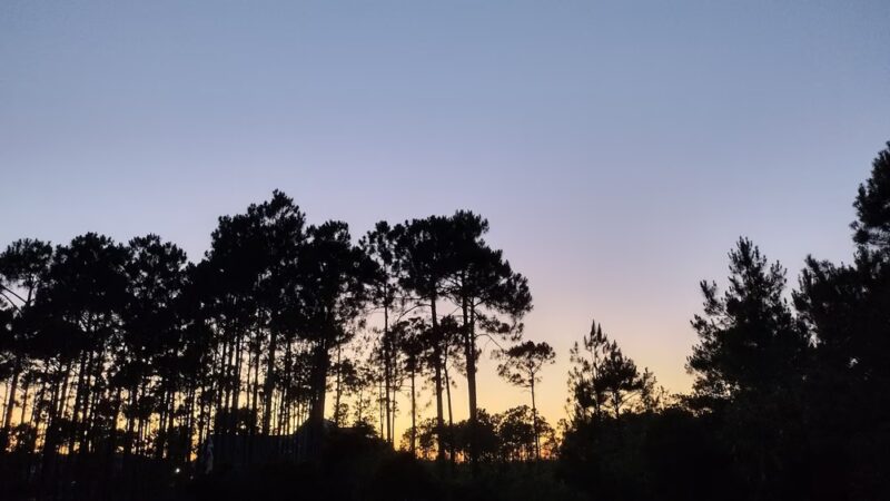 Woodlands Park - St James, NC