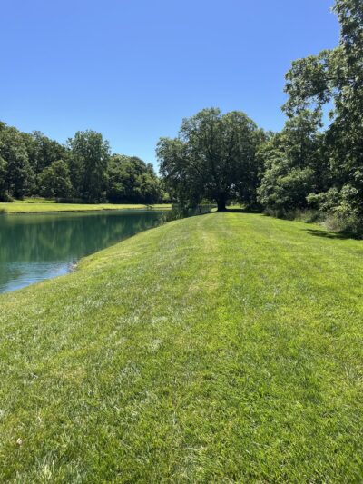 Homestead Acres Park No 1 - St John, IN