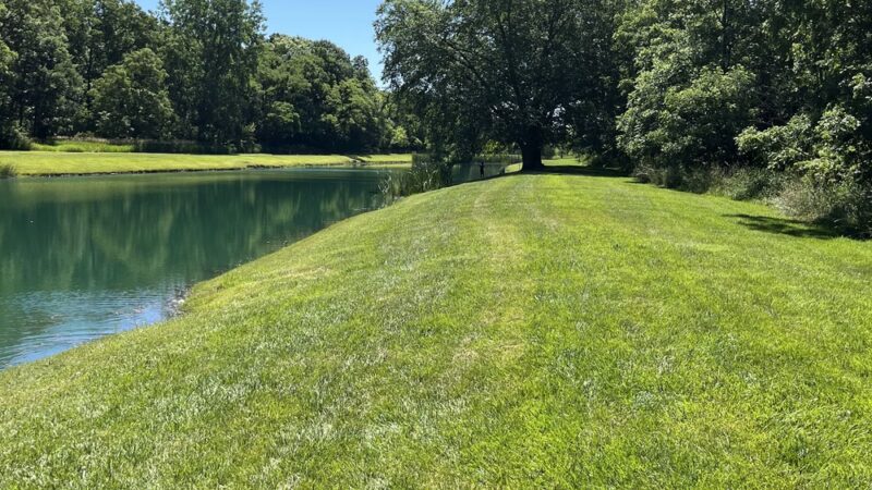 Homestead Acres Park No 1 - St John, IN