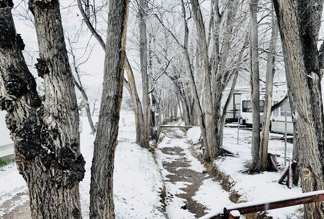 St. Johns RV Park & Resort - St Johns, AZ