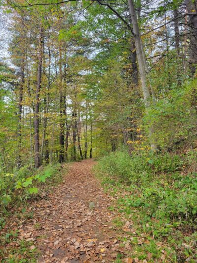 Trailhead for Saint Johnsbury Municipal Forest - St Johnsbury, VT