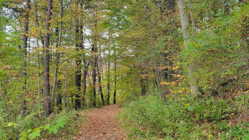 Trailhead for Saint Johnsbury Municipal Forest - St Johnsbury, VT