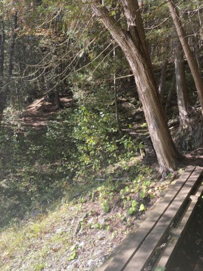 Trailhead for Saint Johnsbury Municipal Forest - St Johnsbury, VT