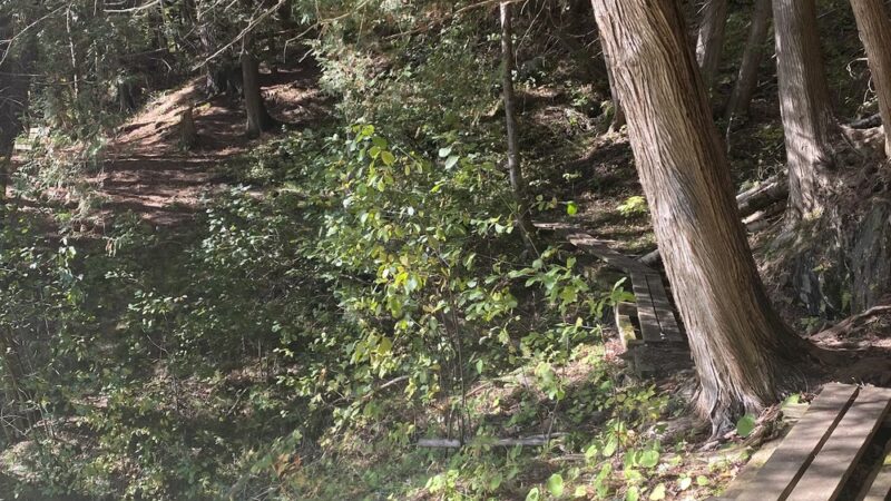 Trailhead for Saint Johnsbury Municipal Forest - St Johnsbury, VT