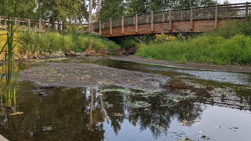 Creekside Park - St Louis Park, MN