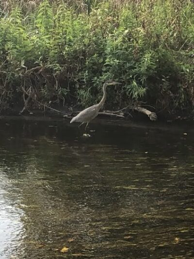 Creekside Park - St Louis Park, MN