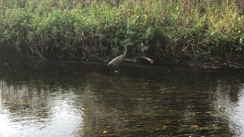 Creekside Park - St Louis Park, MN