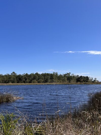 St Marks River Park - St Marks, FL