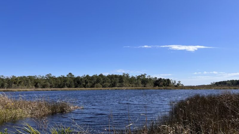 St Marks River Park - St Marks, FL